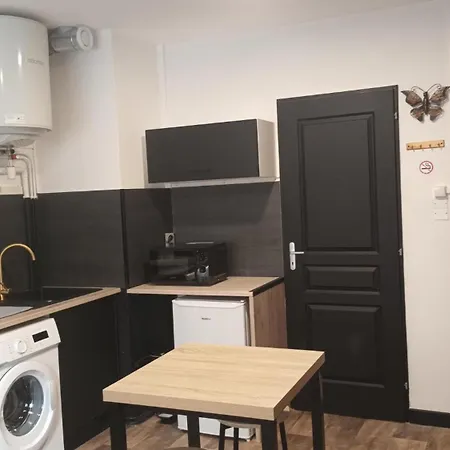 Apartment T1 Proche De Vulcania