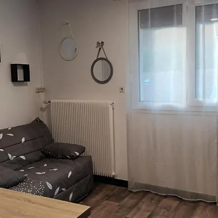 Apartment T1 Proche De Vulcania